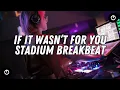 Download Lagu Dj If It Wasn't For You Alesso Stadium Breakbeat