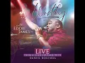 Great Are You Lord (Live)