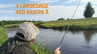 Download Fiskerejse til Skjern å efter laks MP3