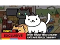 What Those Neko Atsume Cats Are Really Thinking