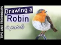 Download Lagu How to draw a Robin in pastels | Realistic bird drawing