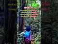 Download Lagu June 9, 2025