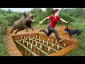 Download Lagu 72 Hours Solo Survival: Woman Digs Giant Trap to Fight Wild Boar in a Deadly Battle for Survival