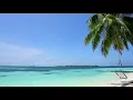 Relaxing Sounds of Waves - 2 Hours - Tropical Beach Relaxation