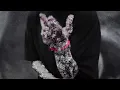 Lui - Computer Crash