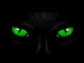 DAVID BOWIE & GIORGIO MORODER ~ Cat People (Puttin' out Fire) {HD 24bit V Remaster}