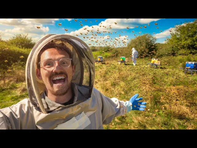 Video: Attempting to Start a Honey Empire… whilst being DEADLY ALLERGIC to Bee’s 😅🐝