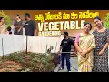 Lagu ఇన్ని రోజులకి మా కల నెరవేరింది Vegetable Gardening❤️❤️  | Stay Healthy | FamilyTime | Challa’s 