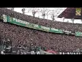 Download Lagu Story Wa Kekompakan Bonek Suporter Persebaya Bikin Merinding.😍