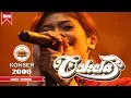 Download Lagu COKELAT - KU PILIH DIA (LIVE KONSER BONDAS BATU 2006)