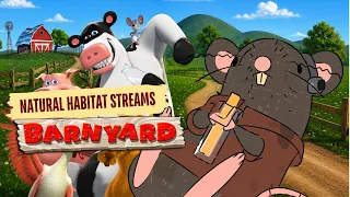 BARNYARD (Part 1) | Natural Habitat Streams