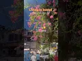 Download Lagu A day in my life🌸#viral #love #adayinmylife #minivlog #youtubeshorts #shorts #trendingshorts #food