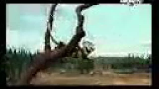 زهرة زهرة شوفيني وين راني طاير 