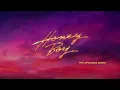 Honey Boy (The Sponges Remix Visualizer)