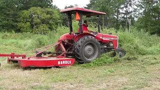 Bush Hogging Overgrown Pasture - MF-231 and Hardee Rotary Cutter