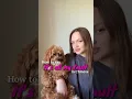 Download Lagu How to say “It’s all my fault” in Chinese #chinesevocabulary #easychinese #learnchinese
