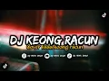 DJ KEONG RACUN BY RIVA DAM VIRAL TIKTOK