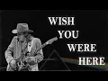 Download Lagu Wish You Were Here, if it were played by Stevie Ray Vaughan MP3