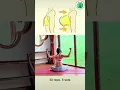 Download Lagu Exercises To Grow Your Boobs (chest lift workout) #shorts #growboobs #chestworkout #chestexercises