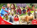 Download Lagu Bhadragol | भद्रगोल | Ep 498 | Yadav, Drona, Sarape, Theuke | Nepali comedy | Media Hub