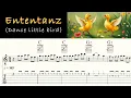 ENTENTANZ | DANCE LITTLE BIRD | WERNER THOMAS | Acoustic Guitar Tutorial | Sheet Music \u0026 TAB