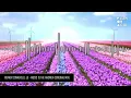 Reinier Zonneveld, JG - Music is the Answer - T78 & Reinier Zonneveld