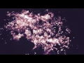 Download Lagu 【Cover】Dance 'Round The Memory Tree【Oren Lavie】