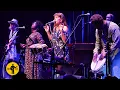 Download Lagu Jolene | Playing For Change Band | Billboard Live Tokyo | Playing For Change