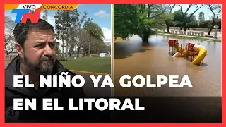 CRECIDA RÍO URUGUAY I El fenómeno de El Niño causó inundaciones en Concordia: el río subió 11 metros