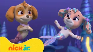 دوريات المخلاب فريق دوريات المخلاب ينقذ قصر ا تحت الماء Nick Jr Arabia 