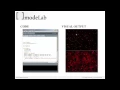 Intro to Processing 02 Hello World