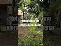 Download Lagu Ketika seseorang merasa paling benar #motivasihidup #motivasi