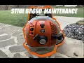Yearly Maintenance On Stihl BR600