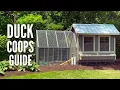 Duck Coops 15 Tips to Design the Perfect Coop for Your Ducks