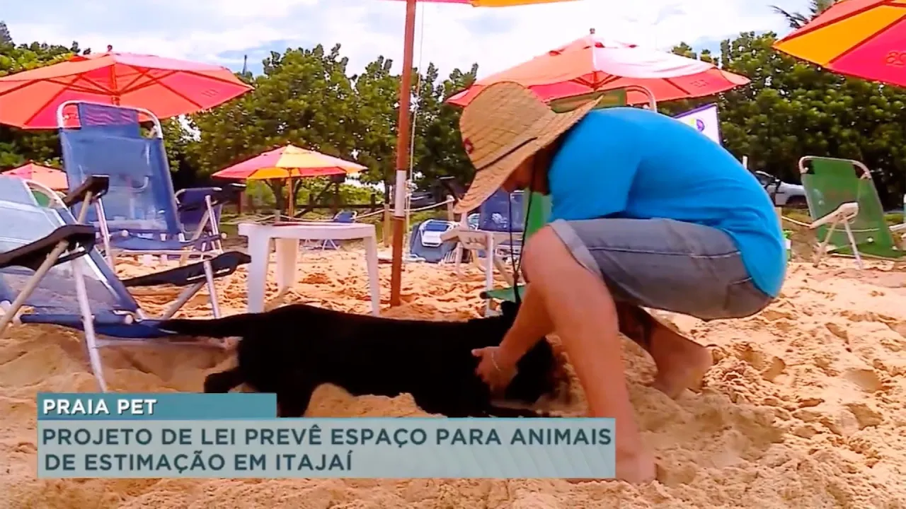 Praia Pet: Projeto de lei prevê espaço compartilhado para animais de estimação em Itajaí