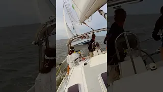 #shorts #sailing #racing #water #fun