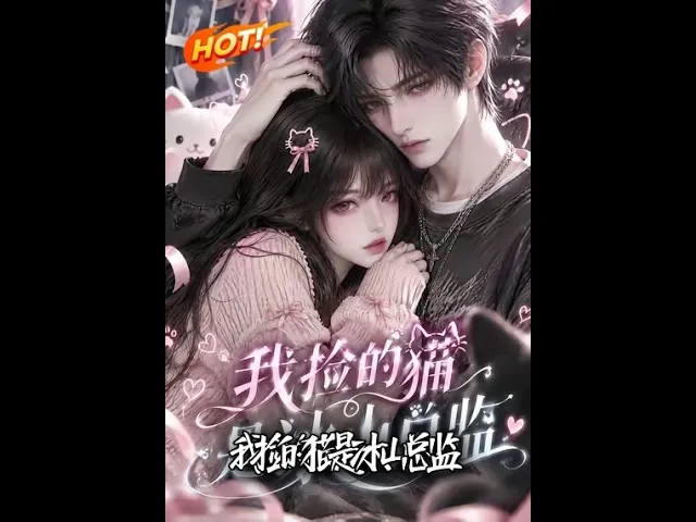 我捡的猫是冰山总监