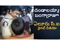 Download Lagu Eluru CI Bangaraju | దండాలయ్యా బంగార్రాజూ MP3