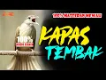 Download Lagu MASTERAN KAPAS TEMBAK GACOR SPED RAPET SUPER MEWAH