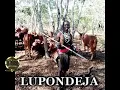 Download Lagu LUPONDEJA NJILE BHUDOYA NDAMA.  UJUMBE WA SHINDAI by Lwenge Studio