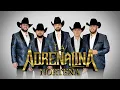 La Adrenalina Nortena - En Cada Vida (En Vivo)