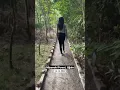 Download Lagu Trip to Miyawaki Forest