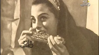 برنامح الافيش يعيش افيش يوميات نائب في الارياف اخراج امال المرسي 