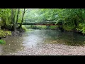 Healing Rain | Native American Flute & Rain Sounds for Deep Sleep & Stress Relief