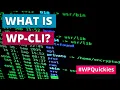 What Is WP-CLI - WPQuickies