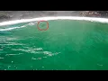 Lagu Surfing in Shark Infested Waters (Cape Town)