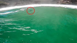 surfing in shark infested waters cape town 