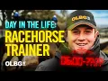A Winner At Newbury A Day in the Life of Horse Racing Trainer Harry Derham On Race Day OLBG