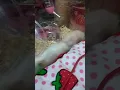 Download Lagu Hamster want sex