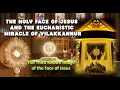 Download Lagu The Holy Face of Jesus and The Eucharistic Miracle of Vilakkannur